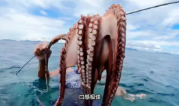 章鱼邪恶漫画触手,邪恶漫画中的神秘力量解析